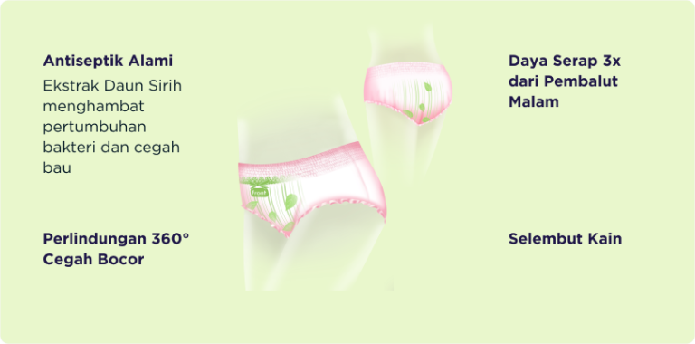 celana menstruasi softex