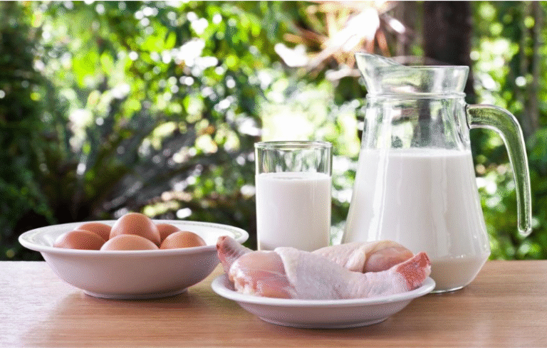 Berikut Gizi Seimbang dari Makanan 4 Sehat 5 Sempurna
